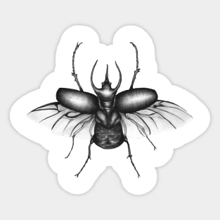 Beetle Wings Sticker